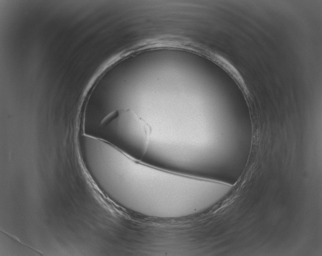 X0000084521146200702230831