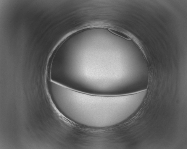 X0000084521147200702230831