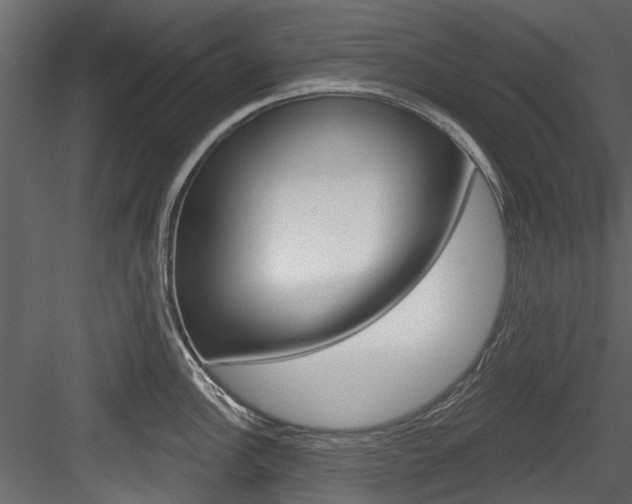 X0000084521148200702230831
