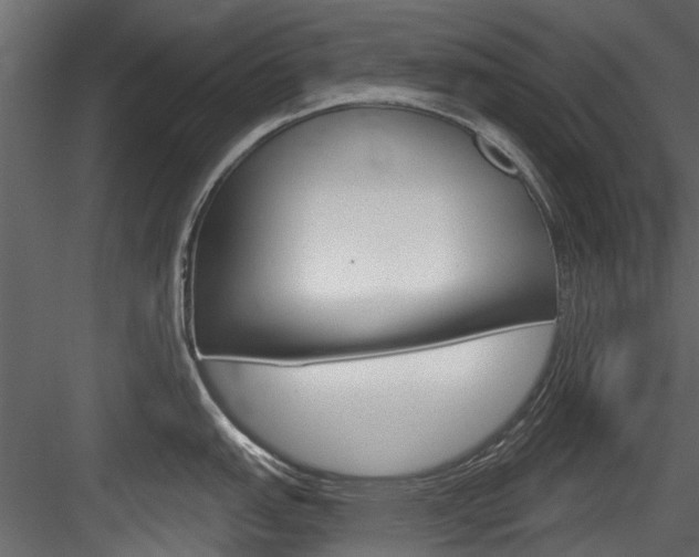 X0000084521151200702230831