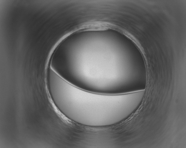 X0000084521152200702230831