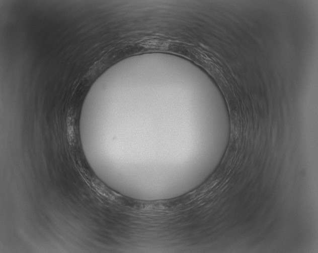 X0000084521154200702230830