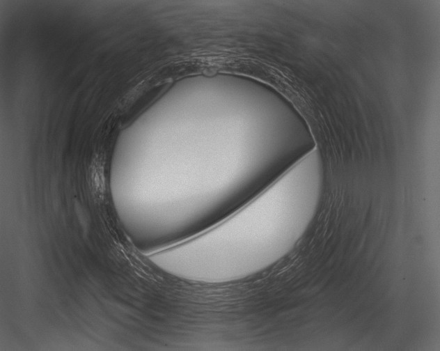 X0000084521155200702230830