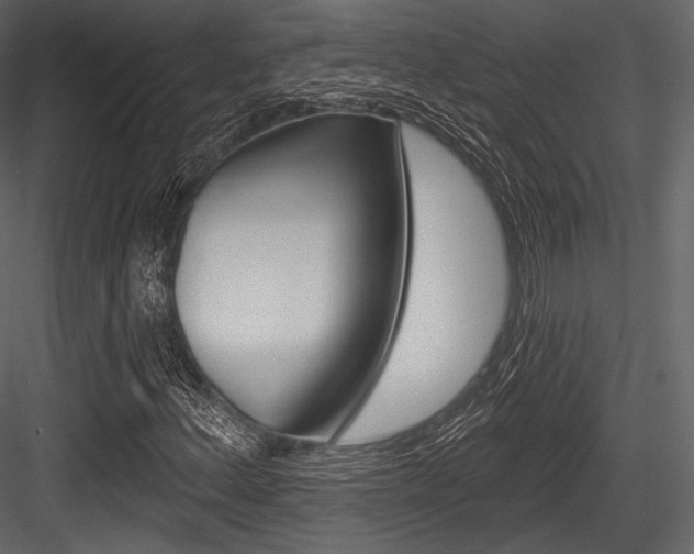 X0000084521156200702230830