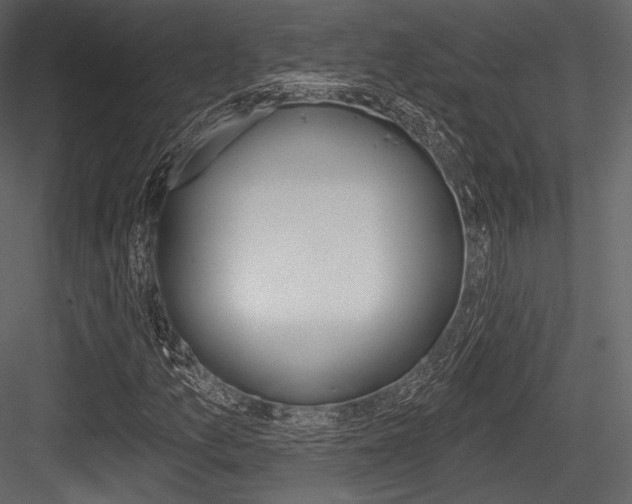 X0000084521157200702230830