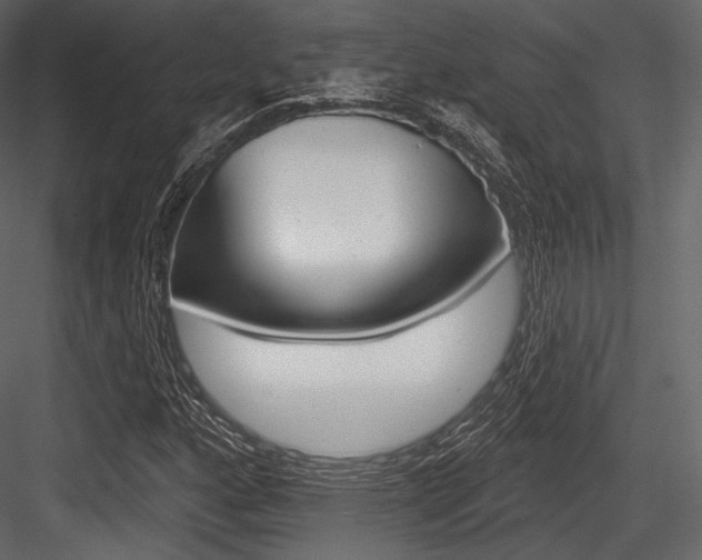 X0000084521160200702230830