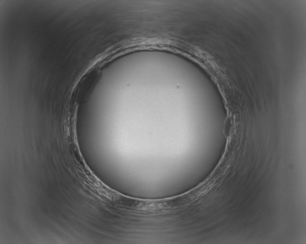 X0000084521165200702230830