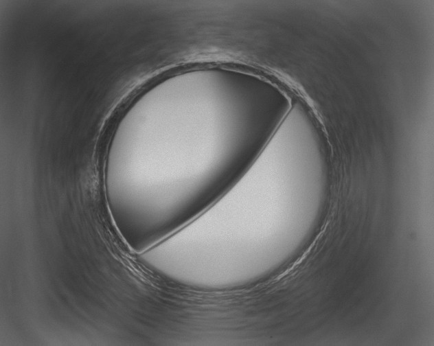 X0000084521167200702230830