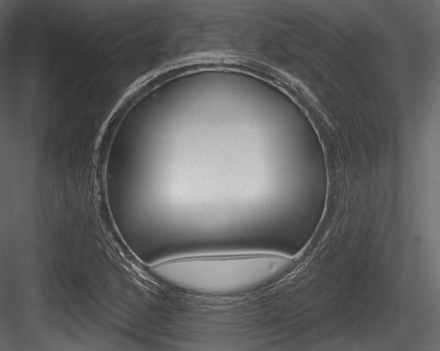 X0000084521168200702230830