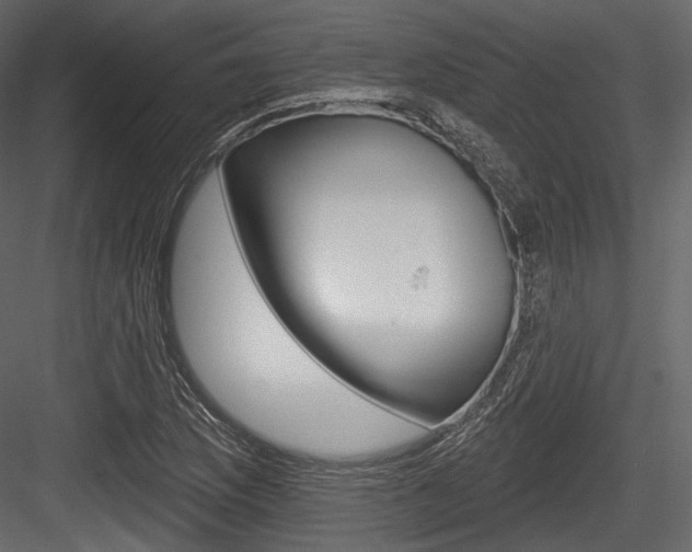 X0000084521169200702230830
