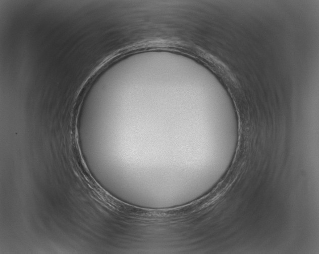 X0000084521170200702230830