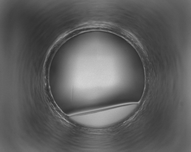 X0000084521172200702230830