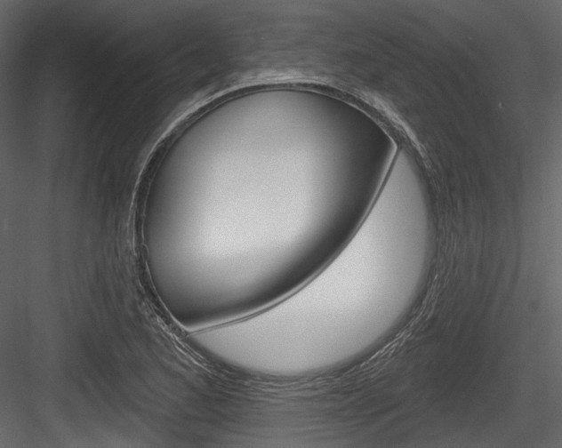 X0000084521173200702230830
