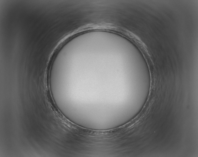 X0000084521174200702230830