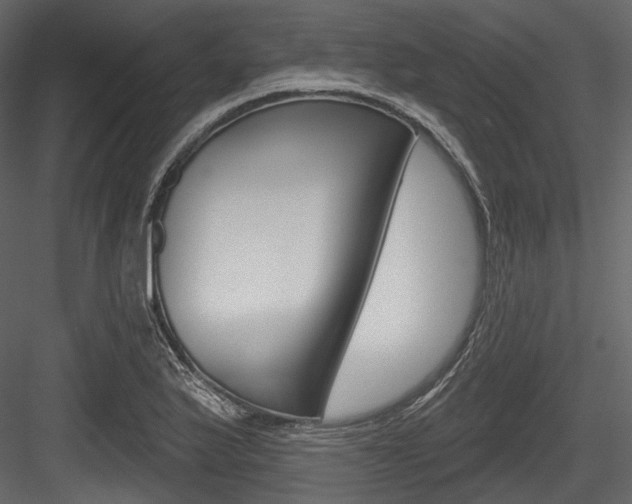 X0000084521175200702230830