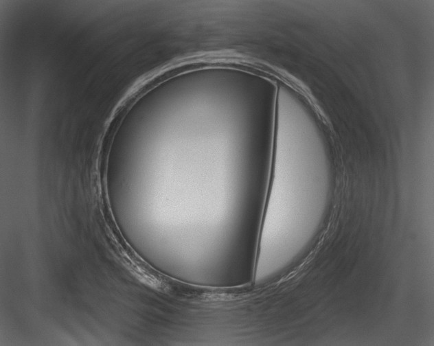 X0000084521176200702230830