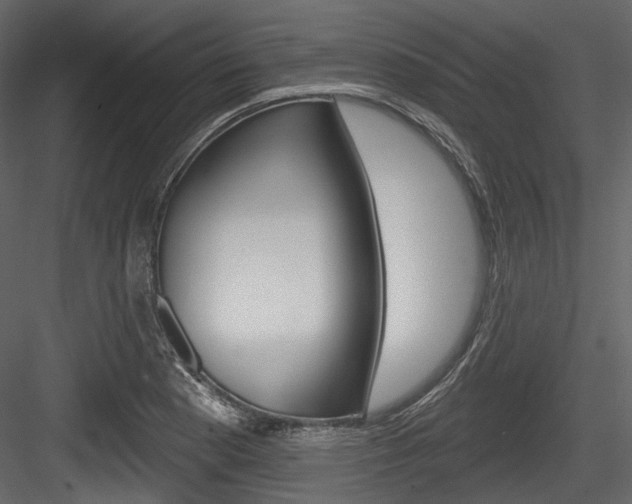 X0000084521177200702230830