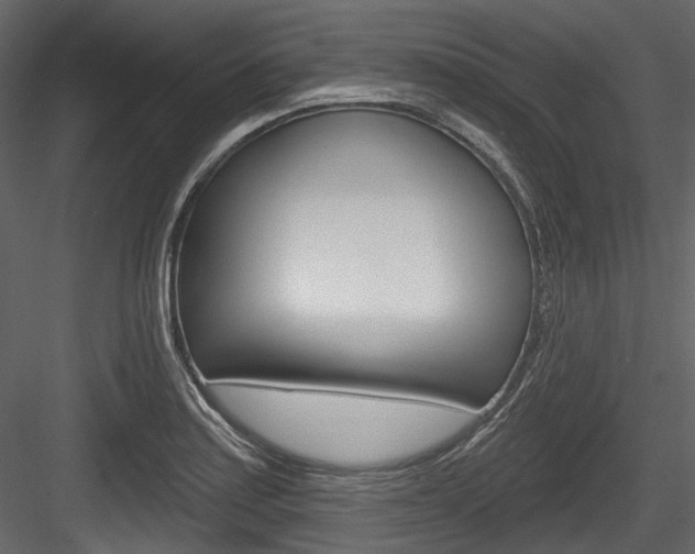 X0000084521179200702230830