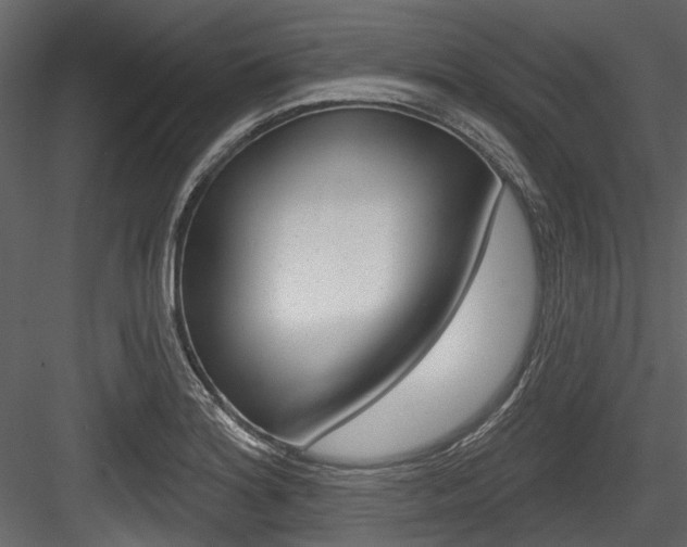 X0000084521180200702230830
