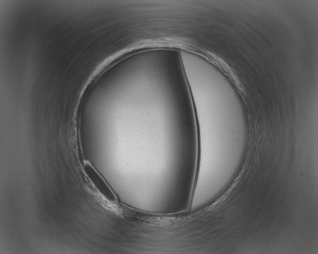 X0000084521184200702230830