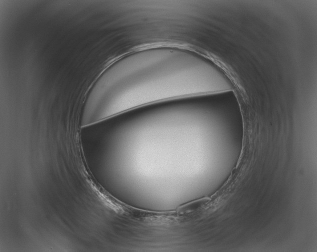 X0000084521185200702230830