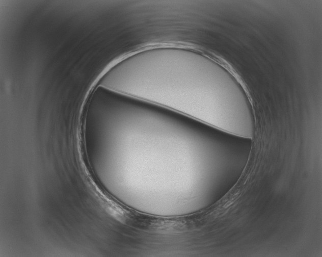 X0000084521187200702230830