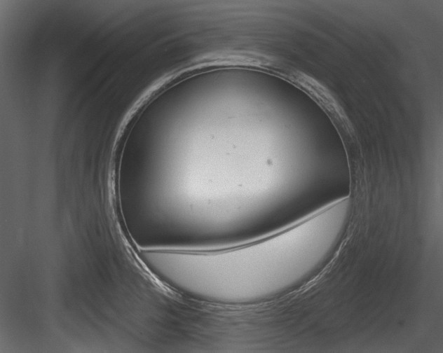 X0000084521188200702230830