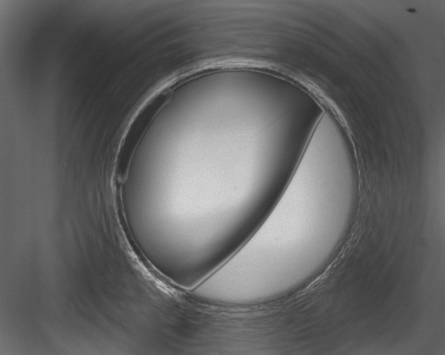 X0000084521189200702230830