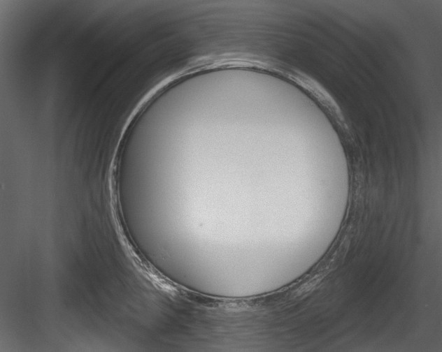 X0000084521190200702230830