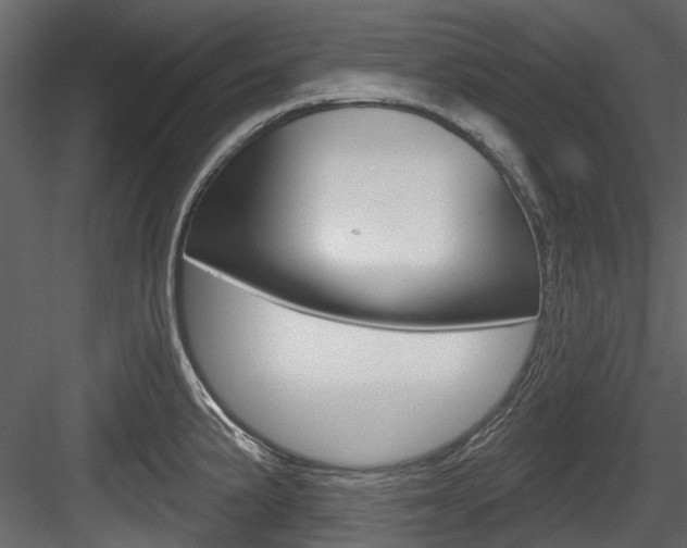 X0000084521191200702230829