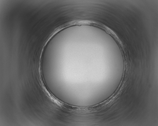 X0000084521194200702230829