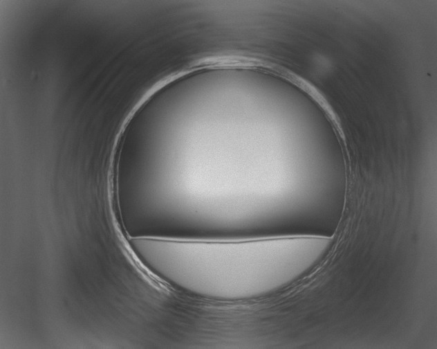 X0000084521195200702230829