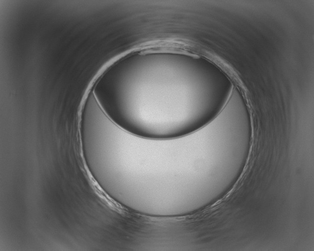 X0000084521200200702230829