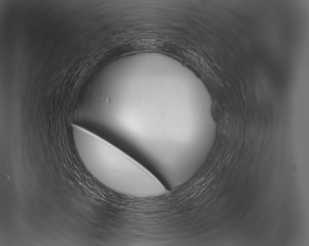 X0000084521201200702230828