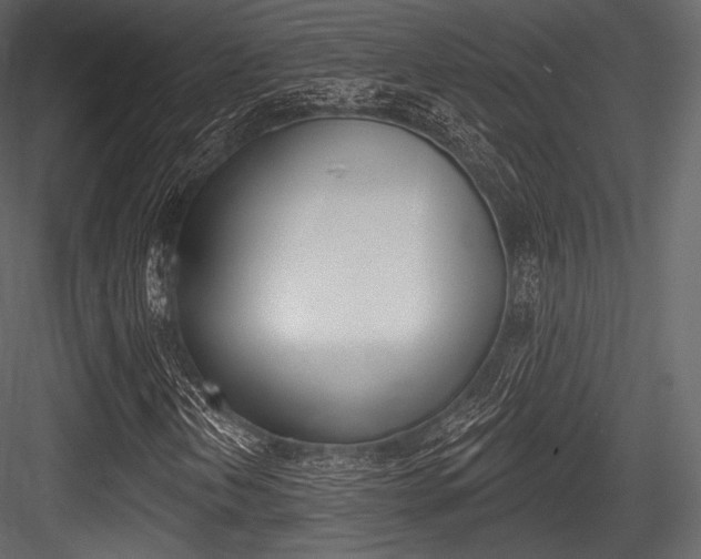 X0000084521202200702230829