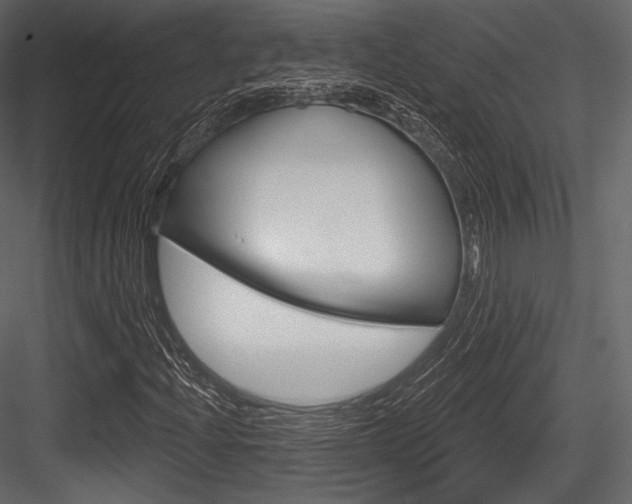 X0000084521204200702230829