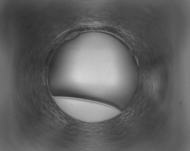 X0000084521205200702230829
