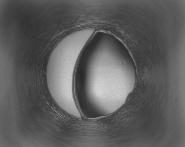 X0000084521206200702230829