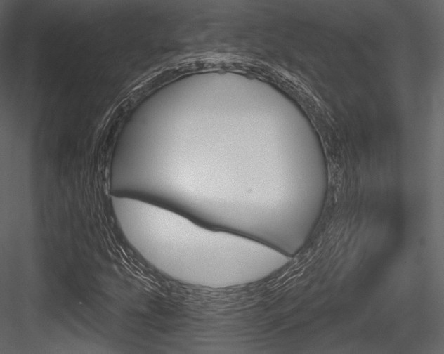 X0000084521207200702230829