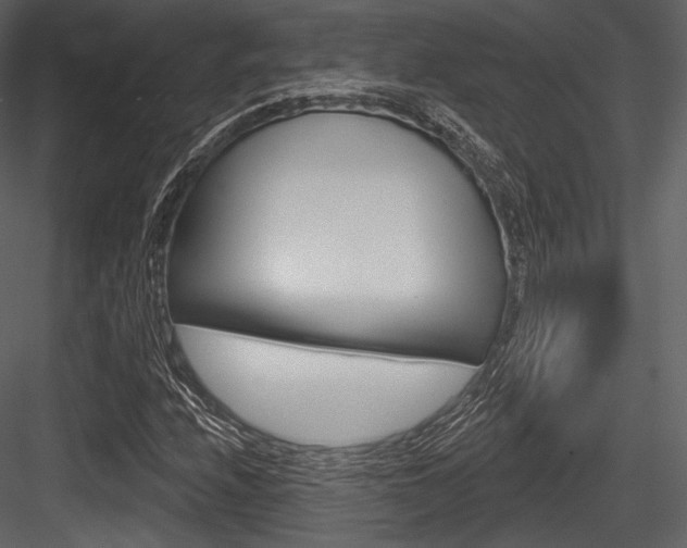 X0000084521208200702230829