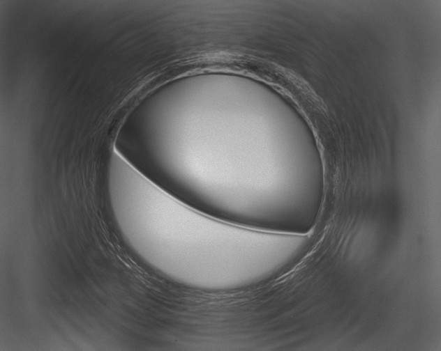 X0000084521209200702230829