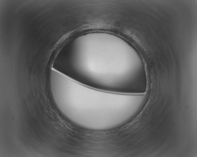 X0000084521213200702230829
