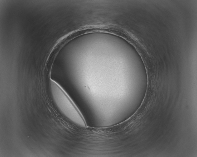 X0000084521214200702230829