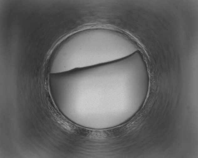 X0000084521215200702230829