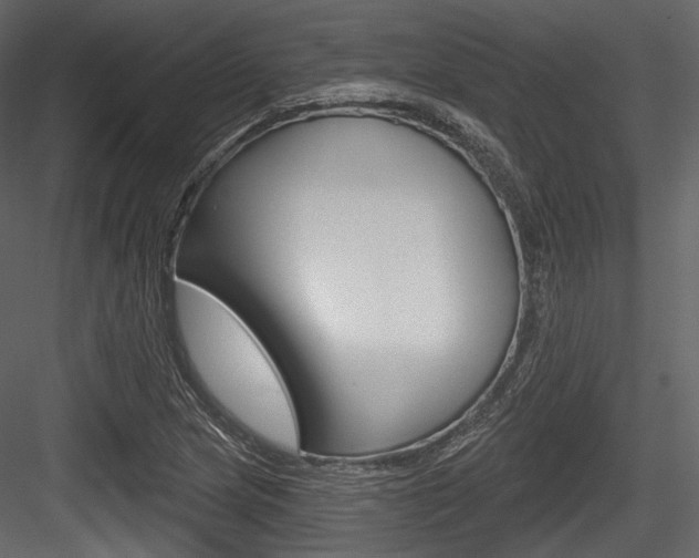 X0000084521217200702230829