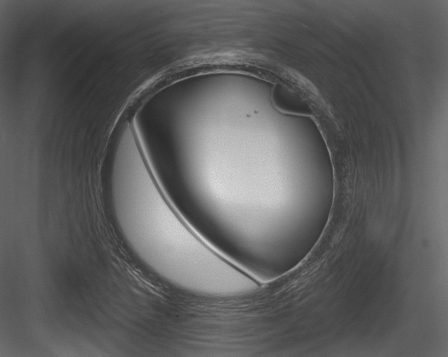 X0000084521218200702230829