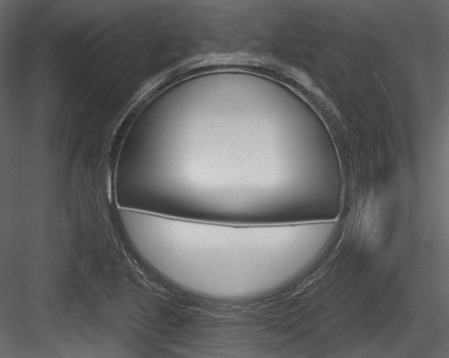 X0000084521221200702230829