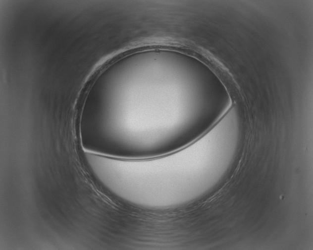 X0000084521222200702230829