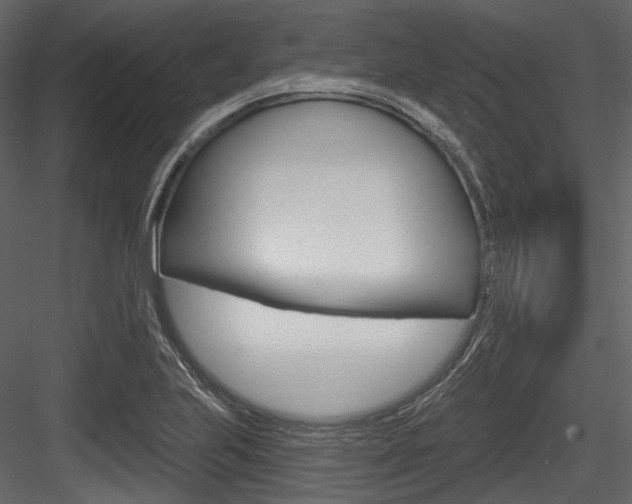 X0000084521223200702230829