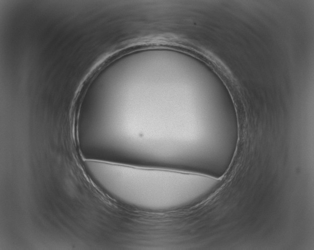 X0000084521224200702230829